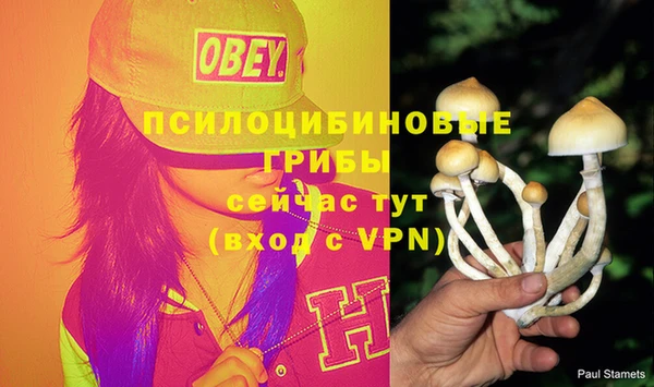 кокаин Заводоуковск